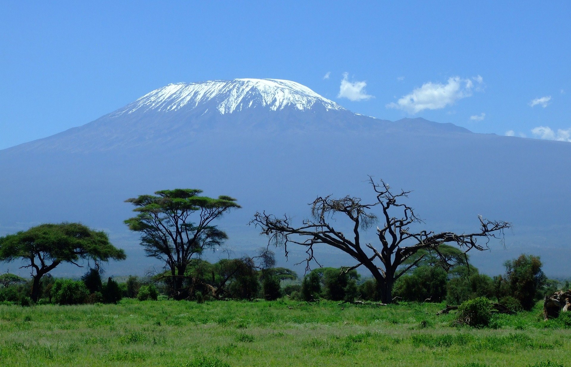 kilimanjaro-